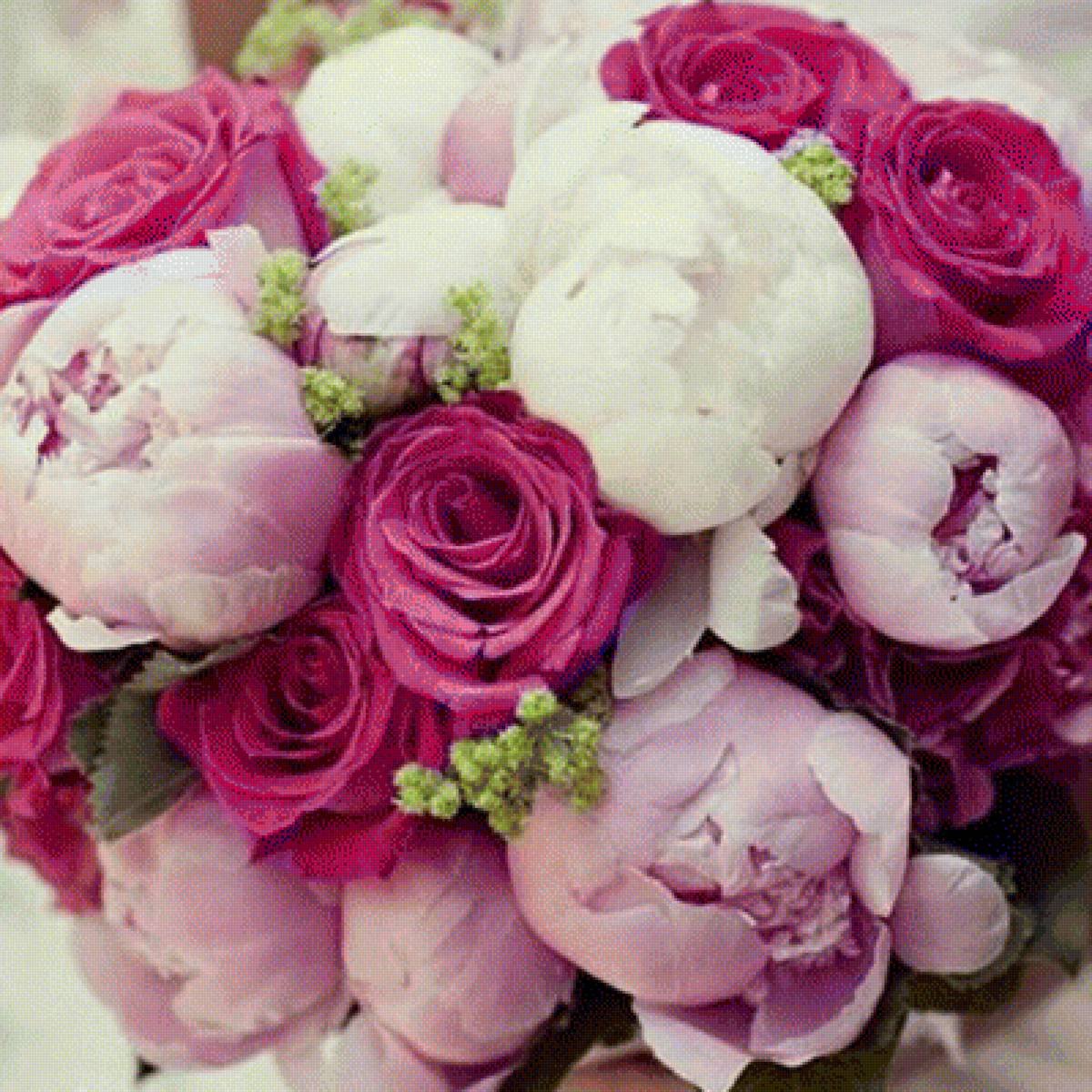 Пионовые розы букет