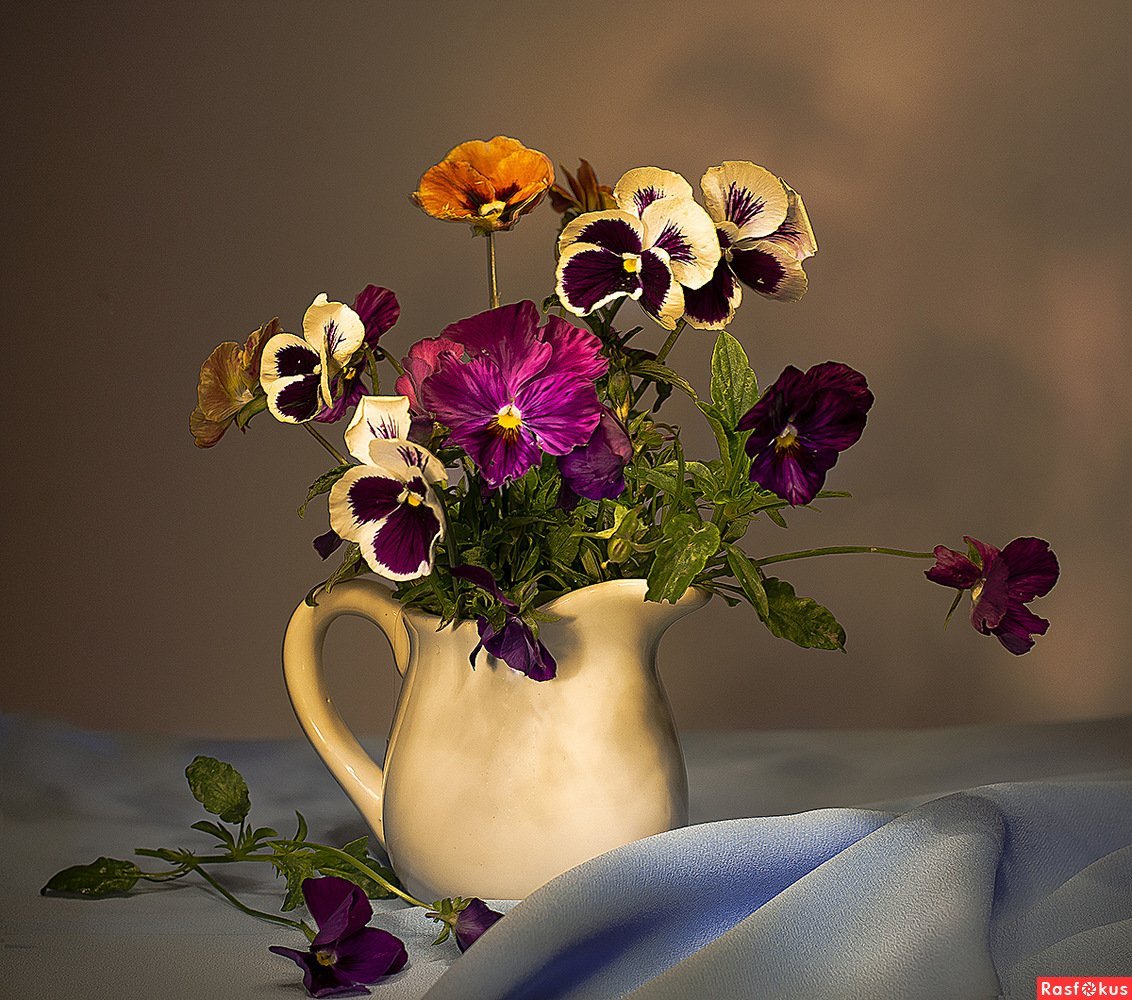 Анютины глазки натюрморт