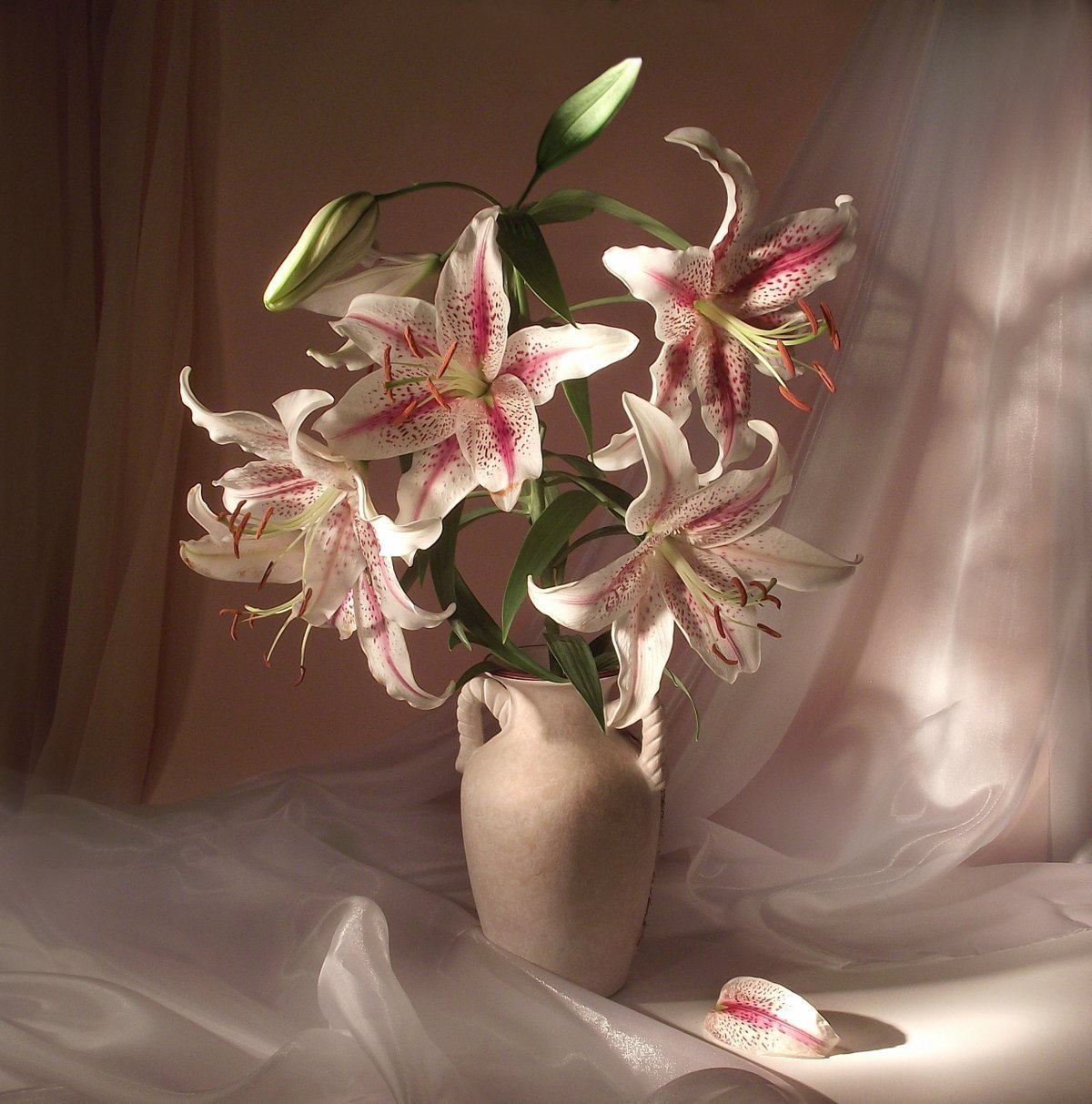 Бузин. Букет белых лилий