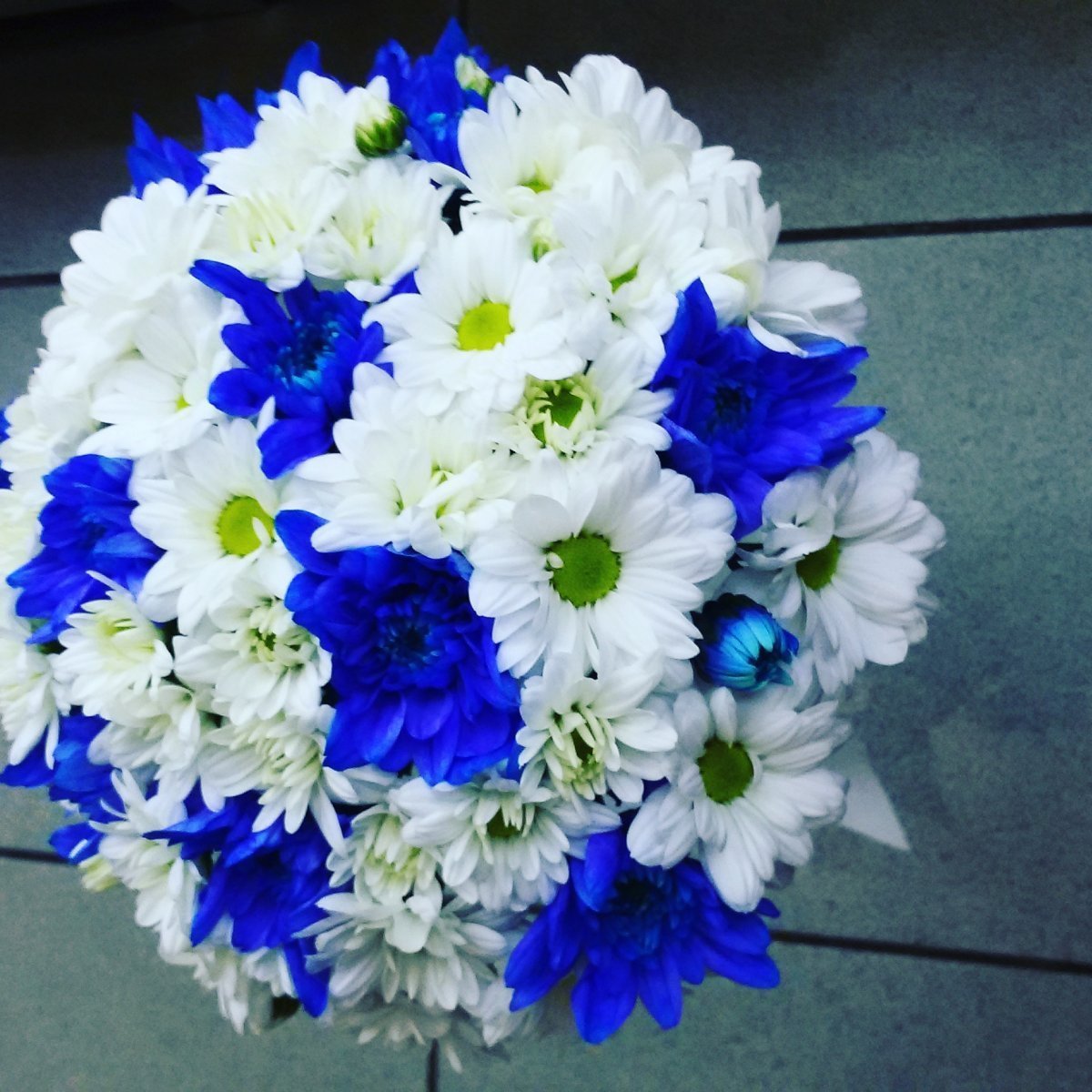 Синие хризантемы букет