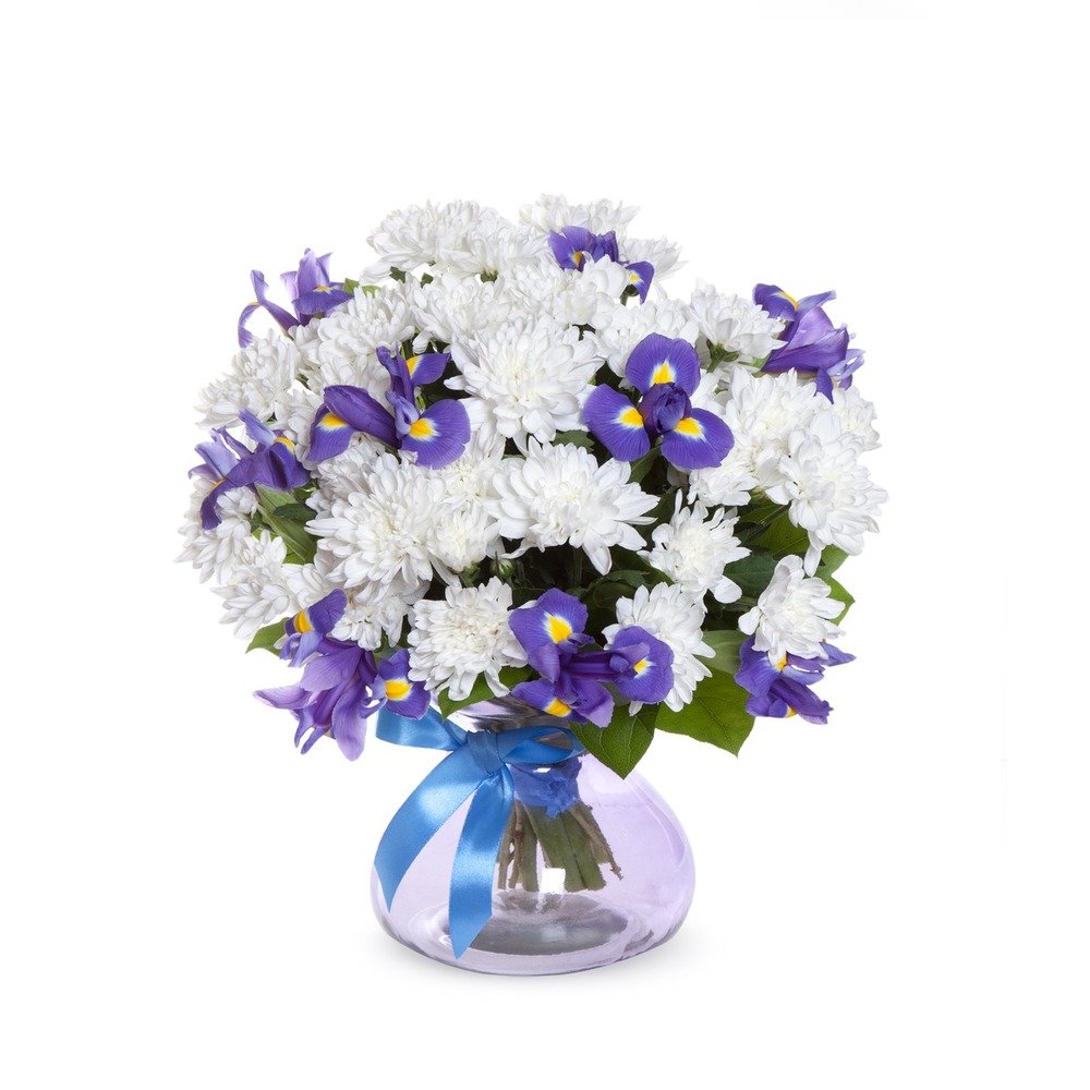 Синие хризантемы букет