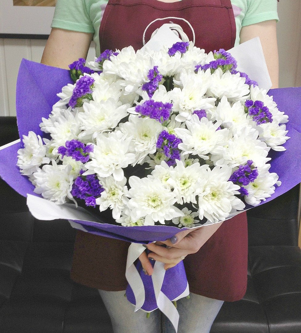 Хриза Ромашка голубая