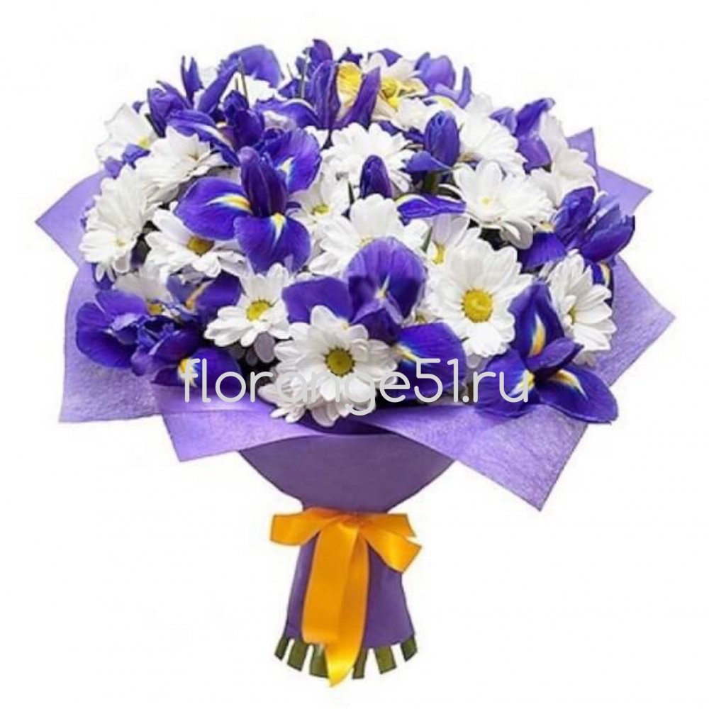 Хризантема Блю Вайт