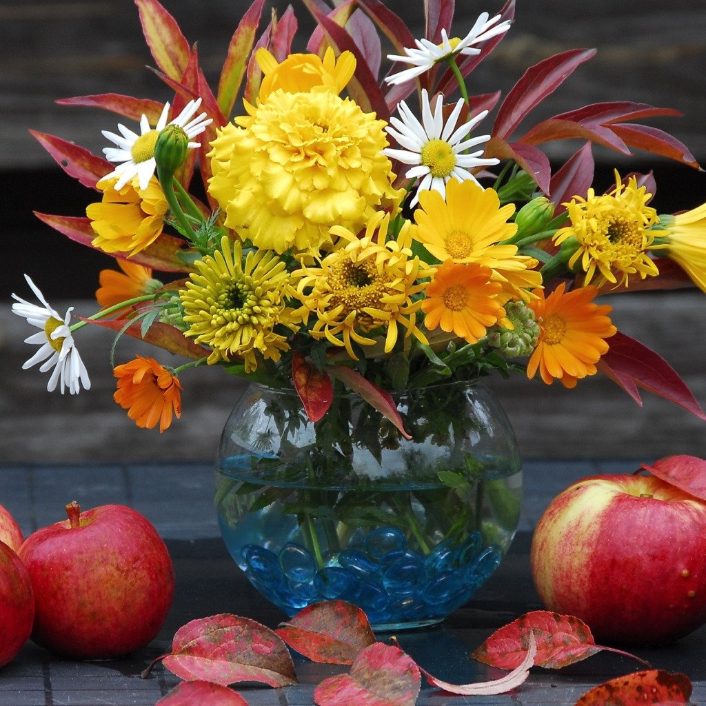 Осенние цвета