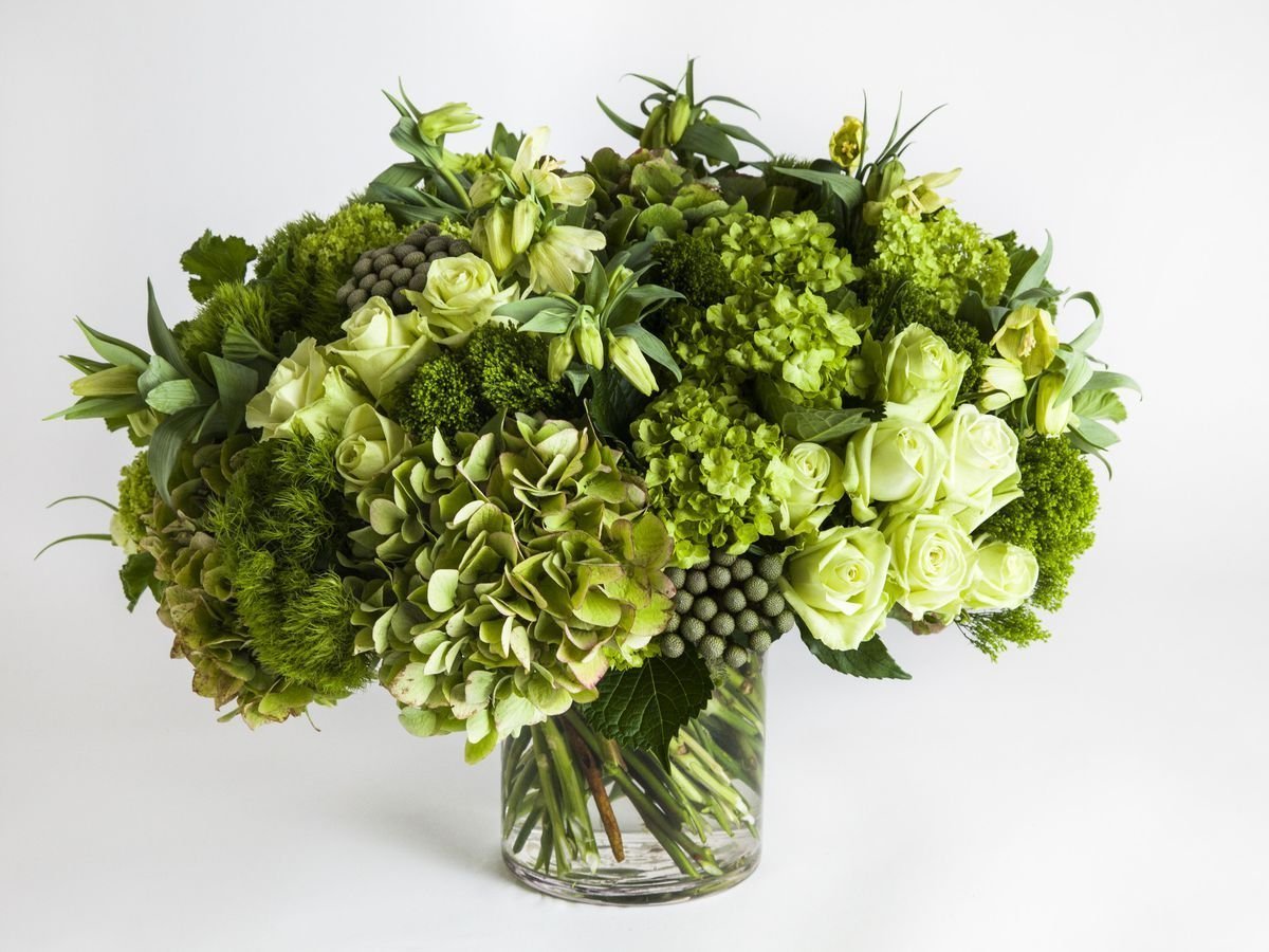 Салал зелень для букетов