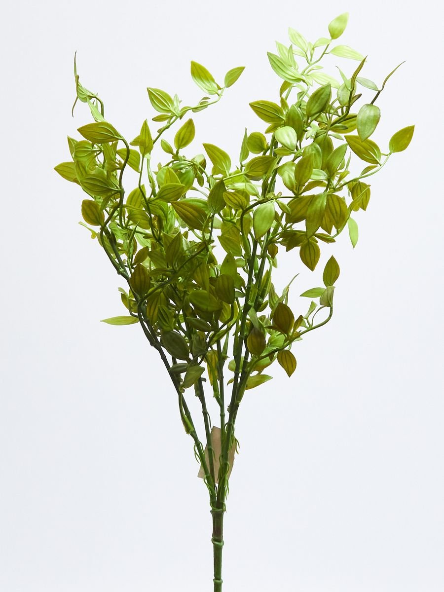 Декоративная зелень