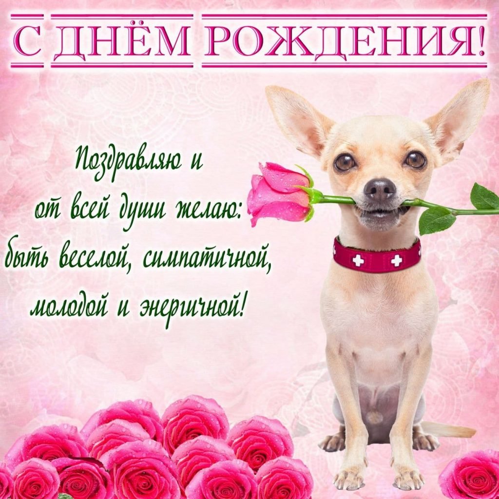 Поздравления с днём рождения девкшке