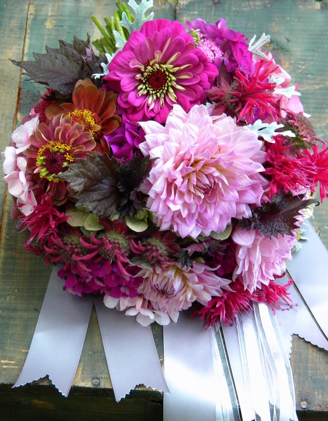 Цинии георгины астры