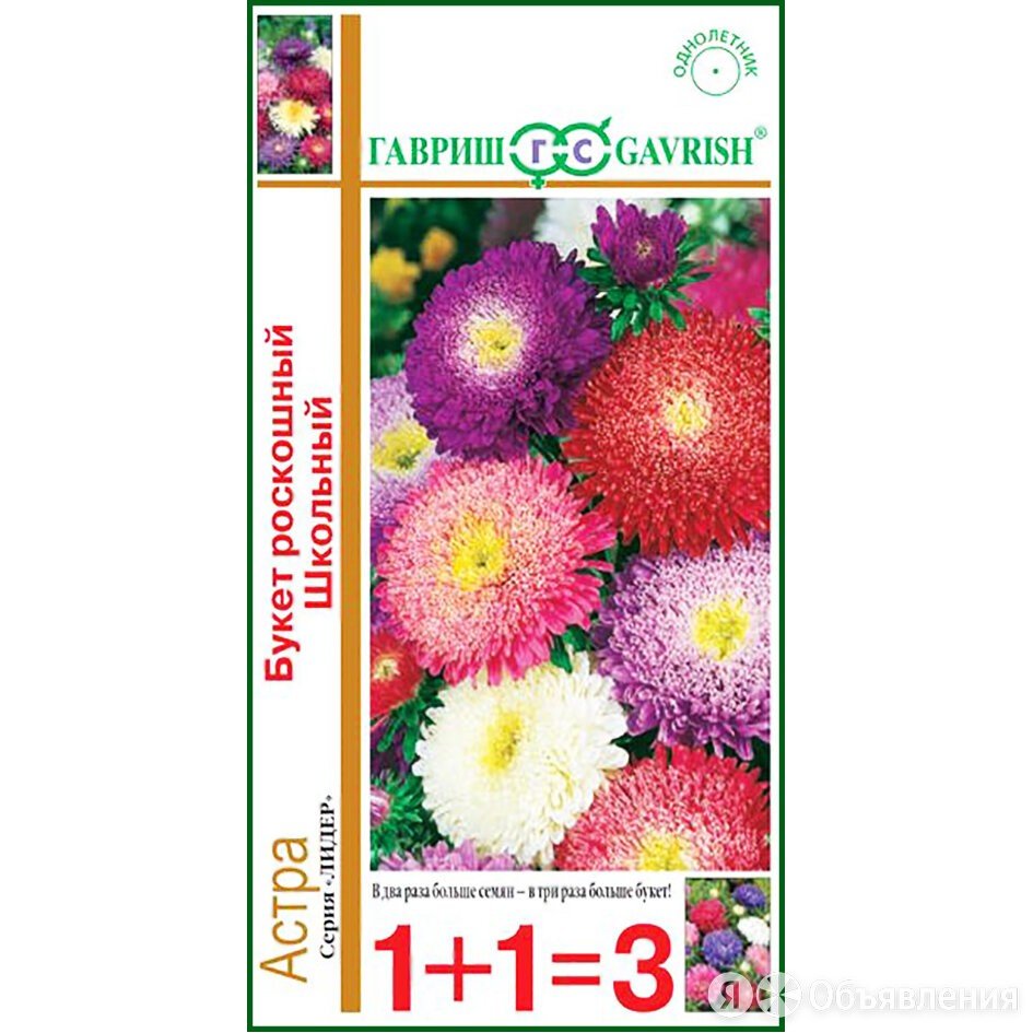 Астра роскошный букет Гавриш