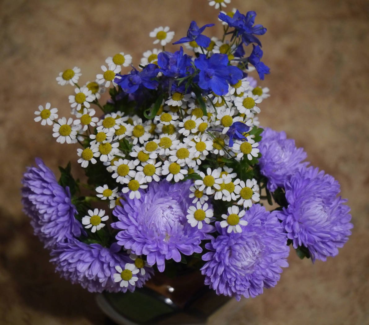 Астра Клеопатра