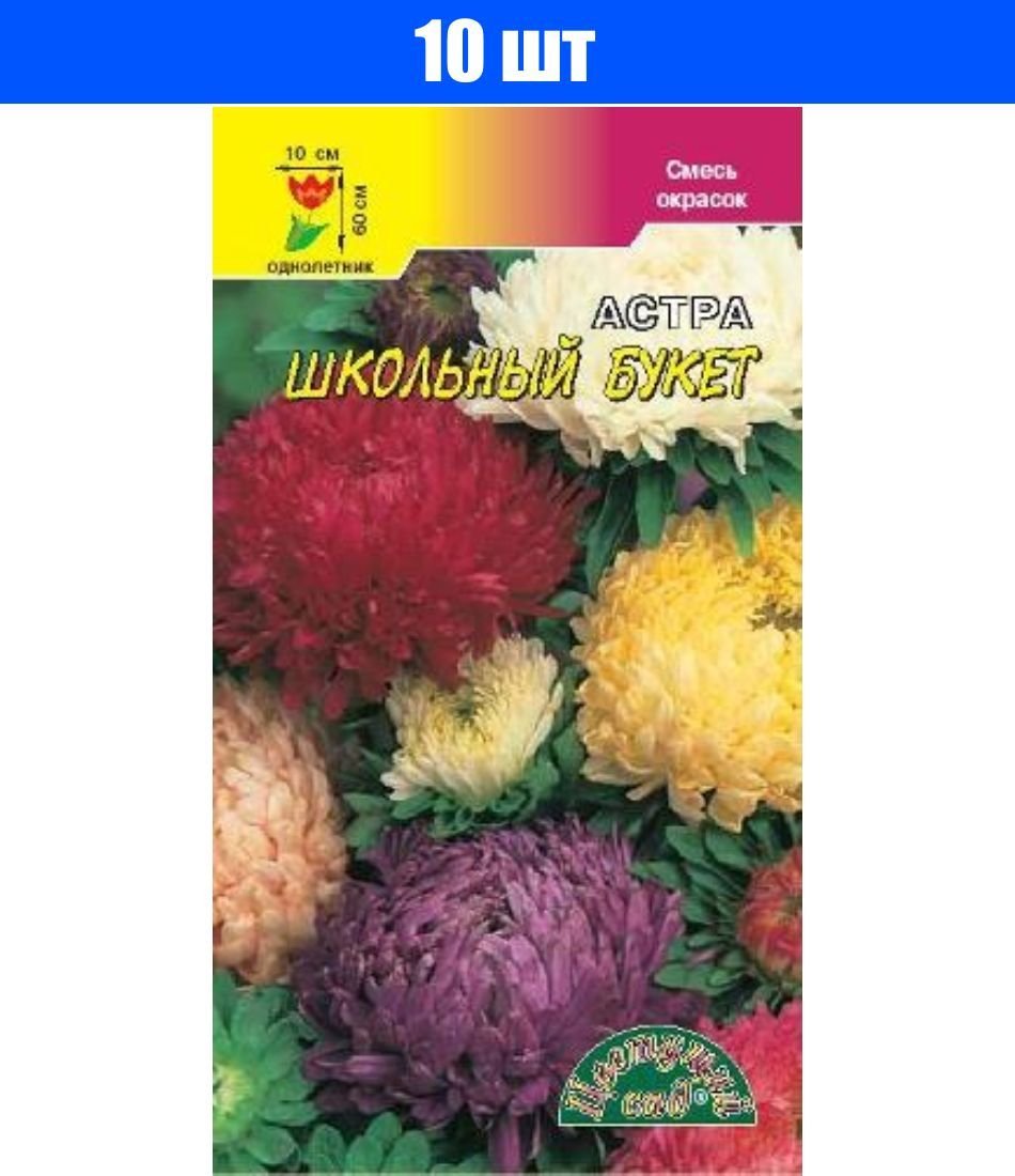 Астра пионовидная белая башня