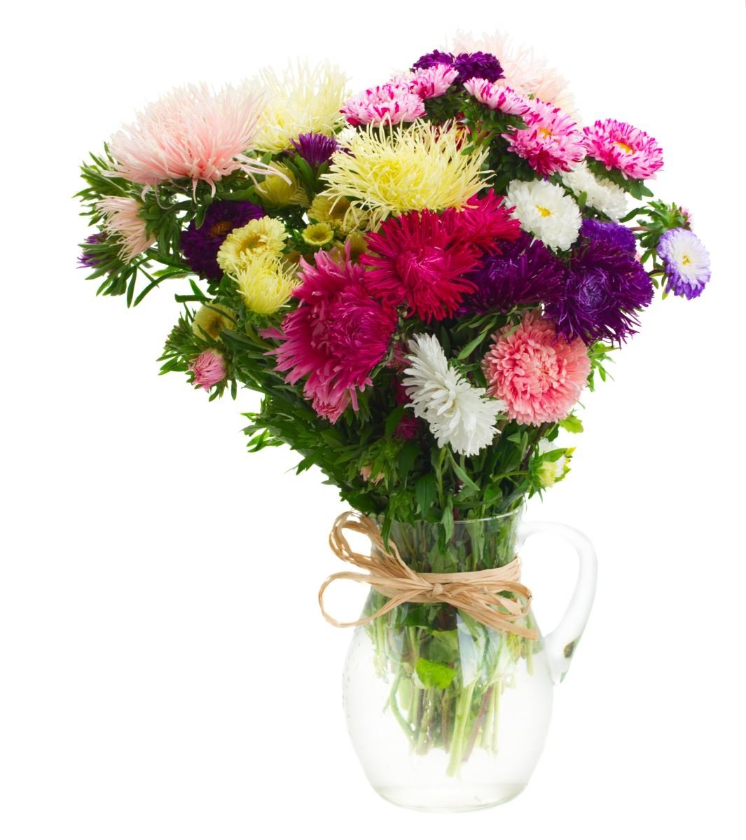 Цветы астры букет