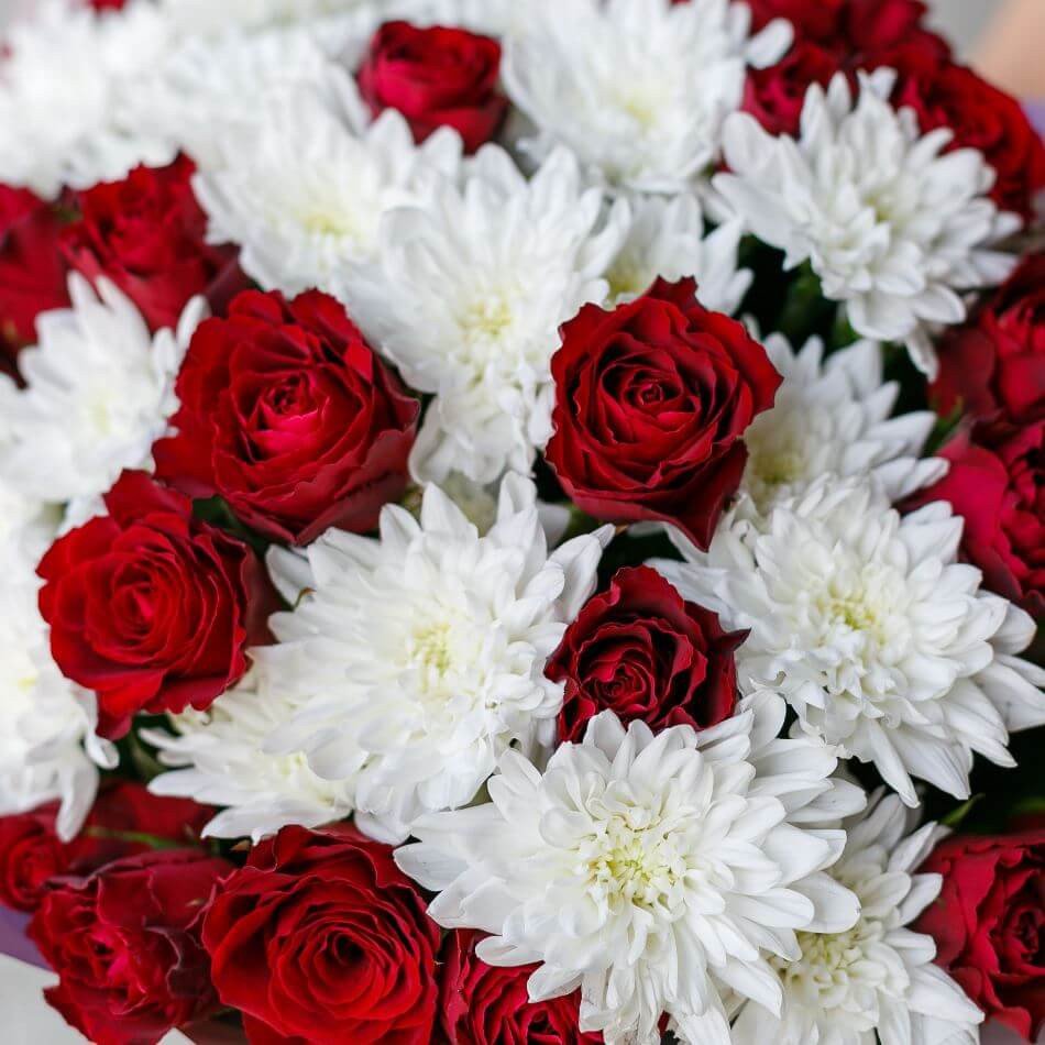 Хризантема красная Вайт