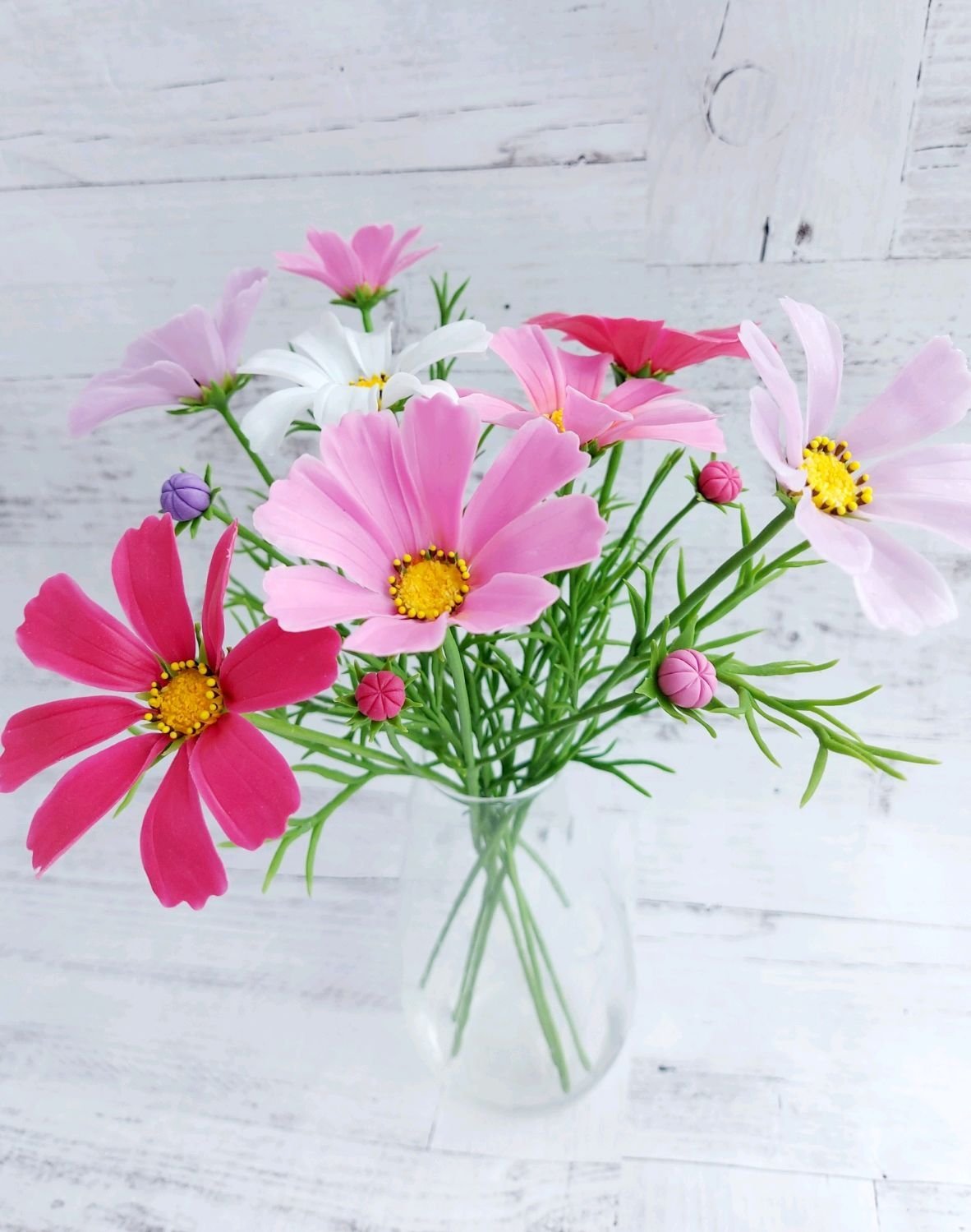 Чашелистики космеи