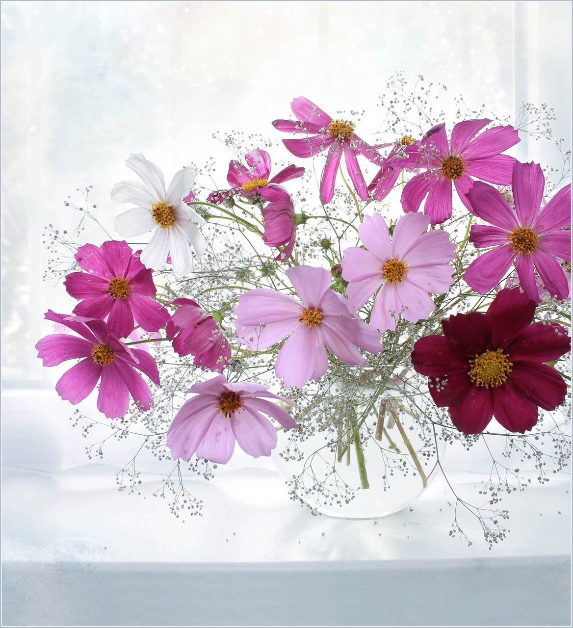 Космея цветы букеты