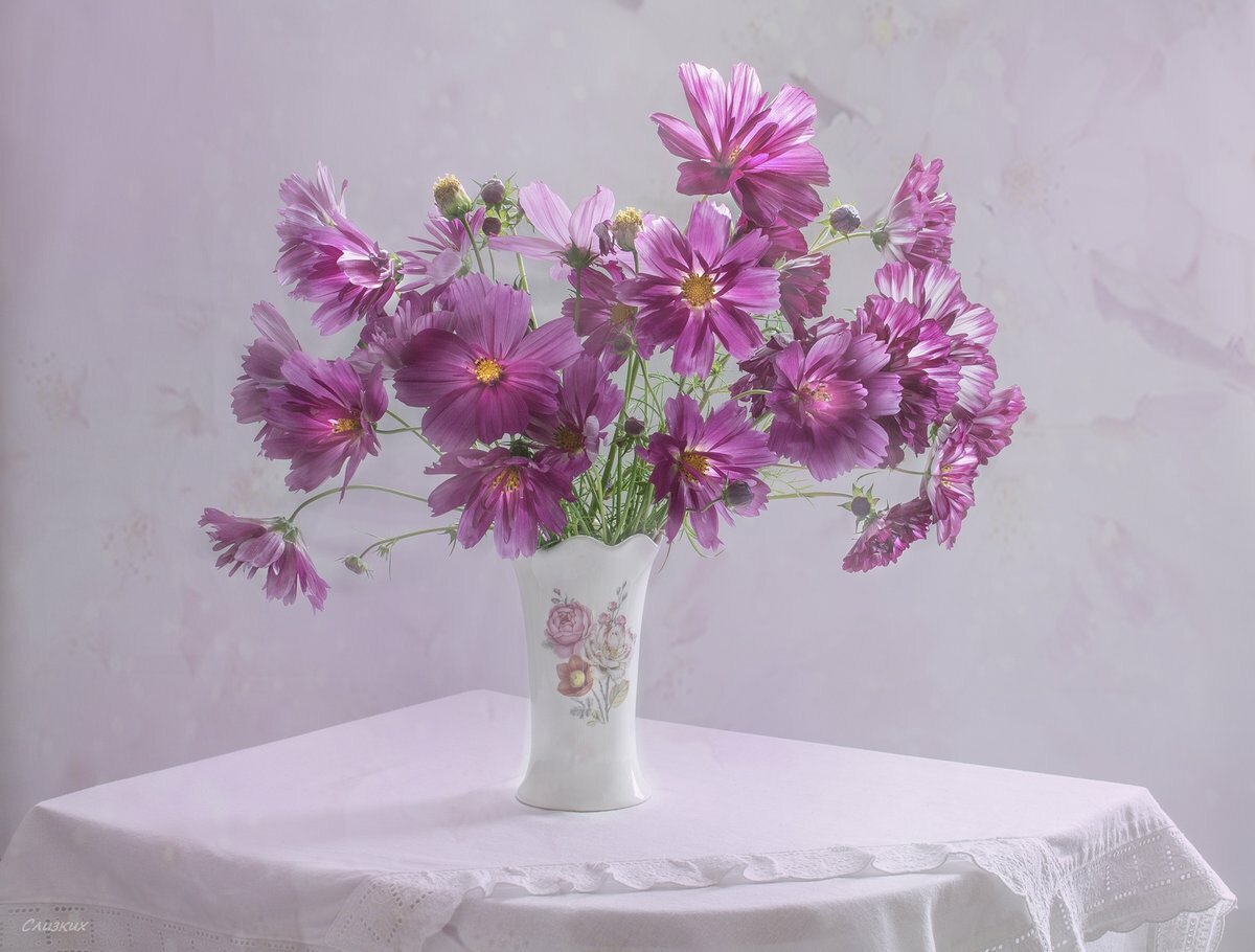 Космеи цветы букеты