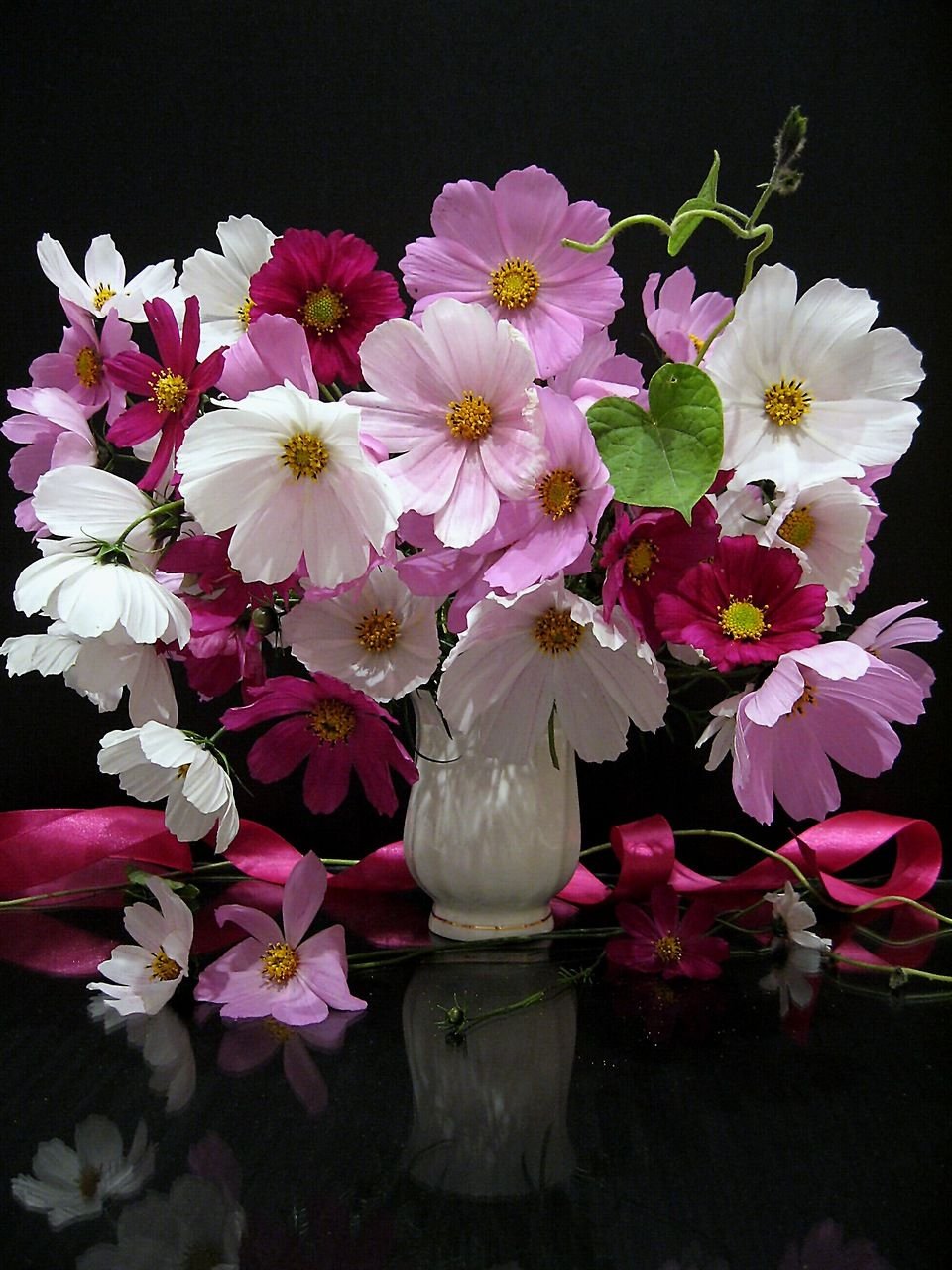 Космея натюрморт