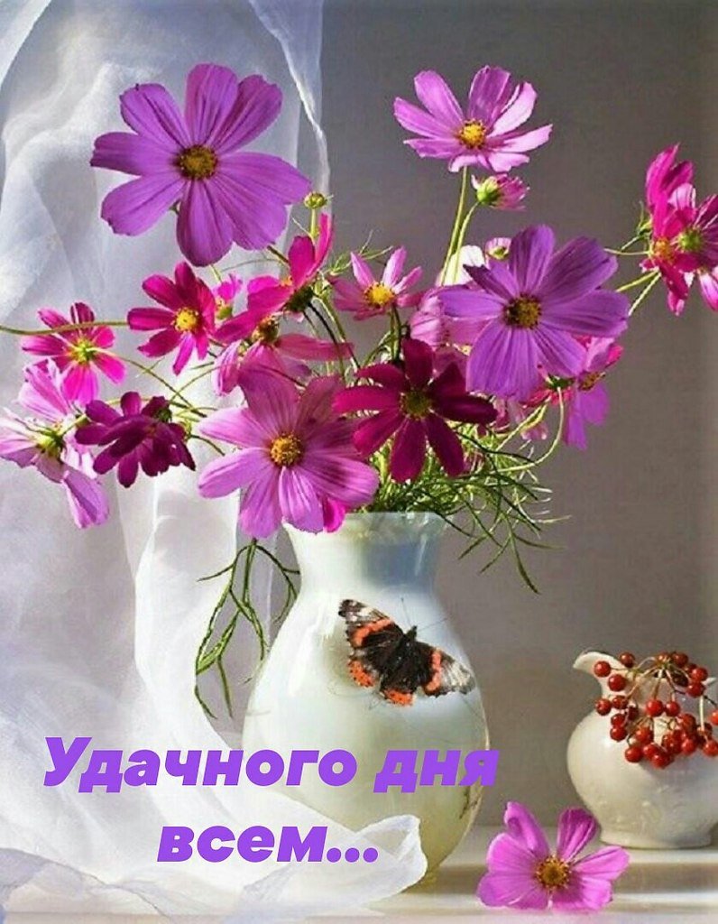 Цветы космея в вазе