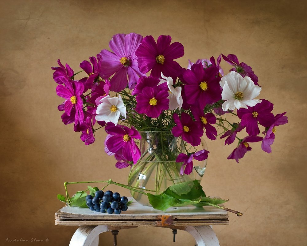 Космеи цветы букеты