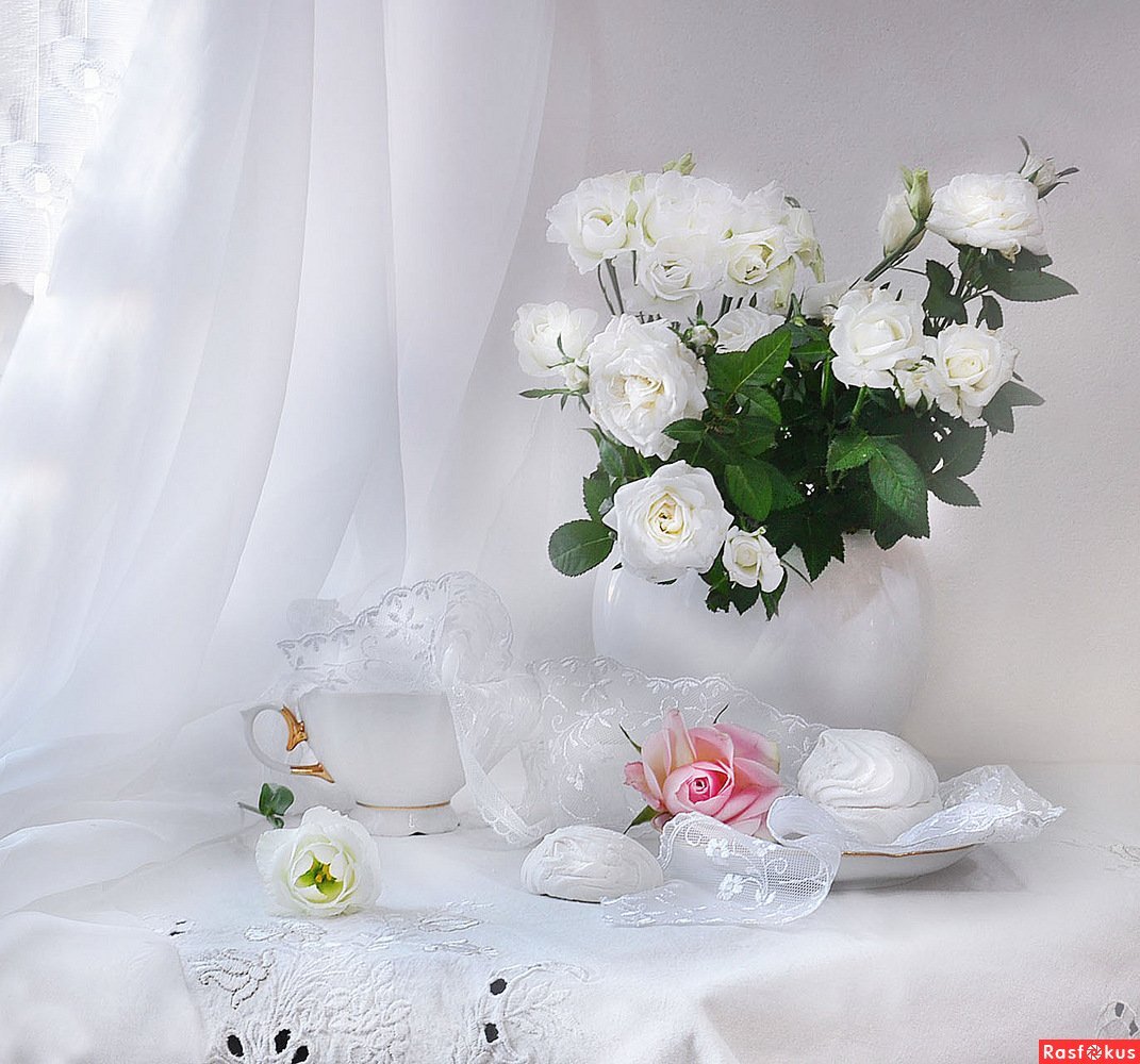 Дробрае утра сбелыби розами