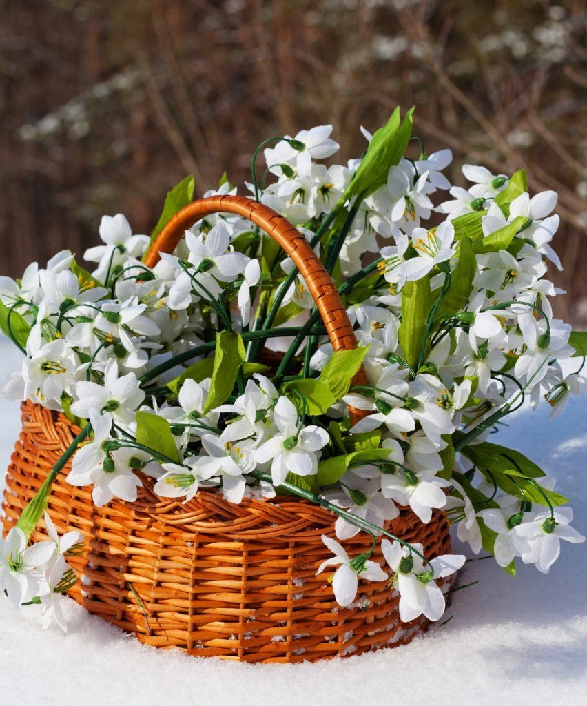 Букет подснежников