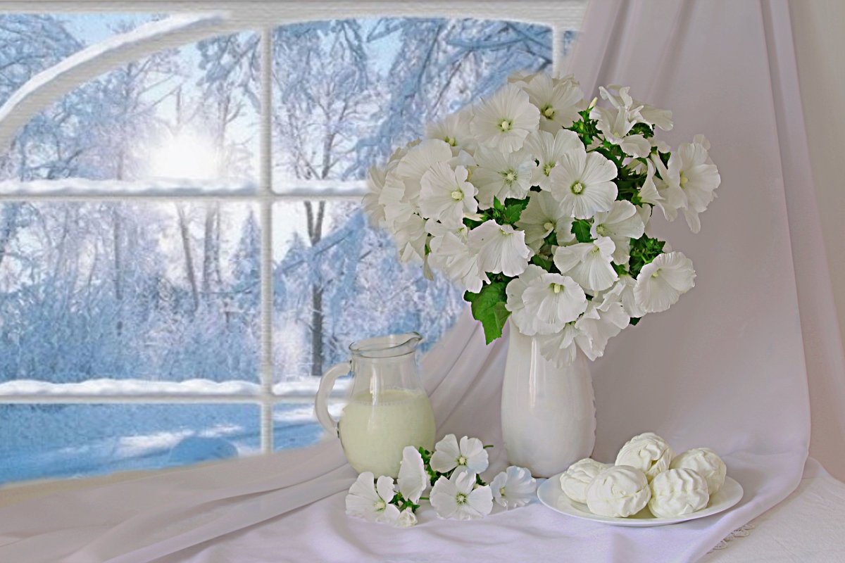 Нежное видео утреннее. Зимние цветы. Цветы на окне. Цветы зимой. Букет цветов на окне.