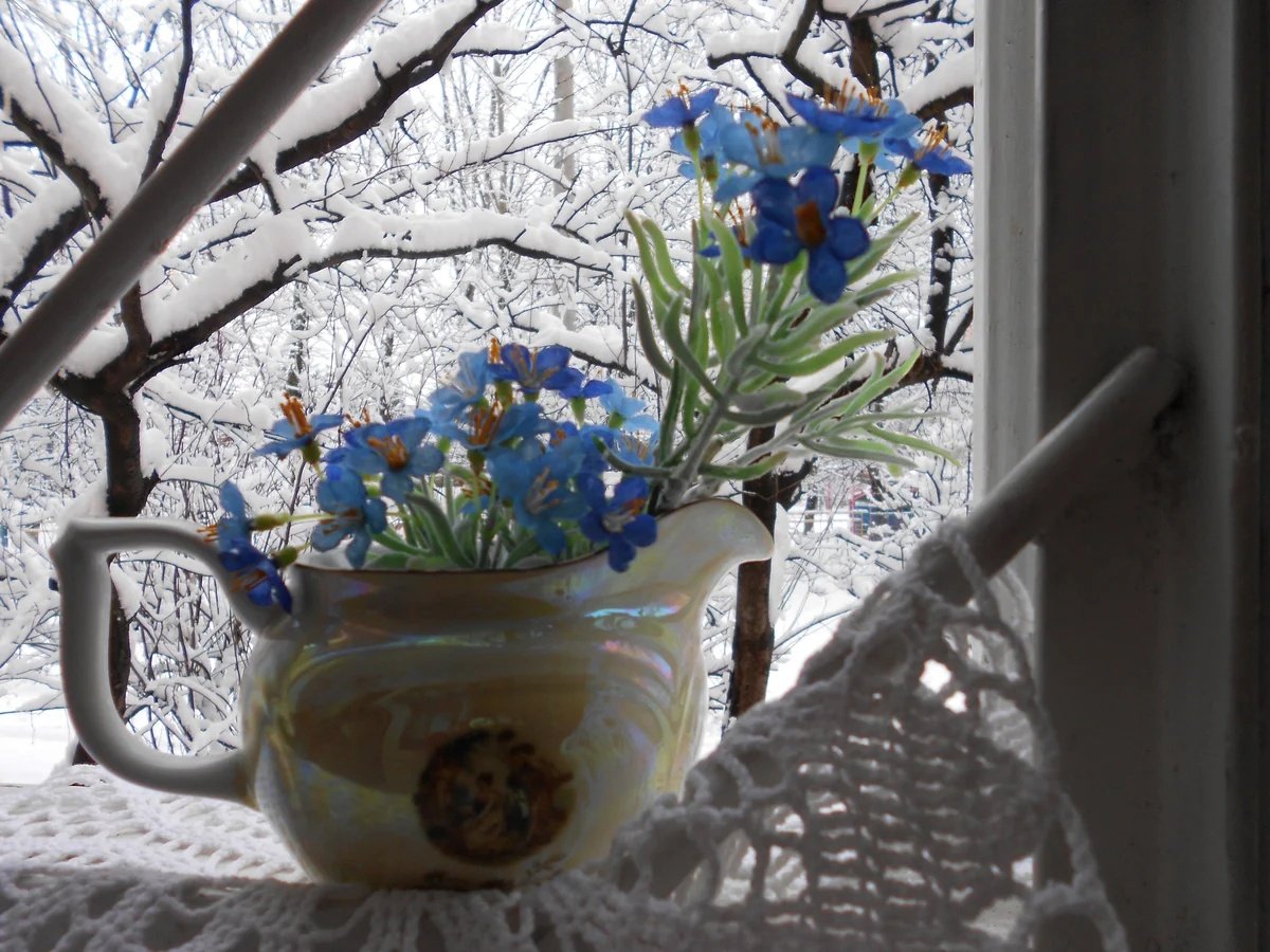 Цветы на зимнем окне