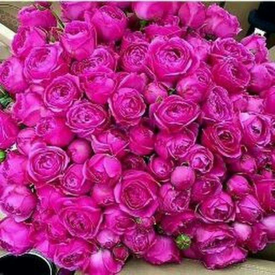 Смешной букет цветов