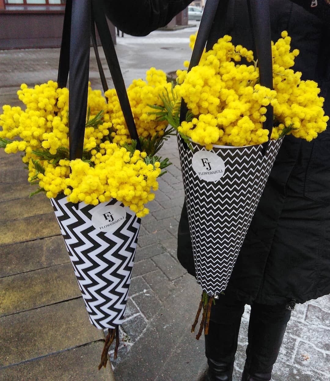 Мимоза Монобукет