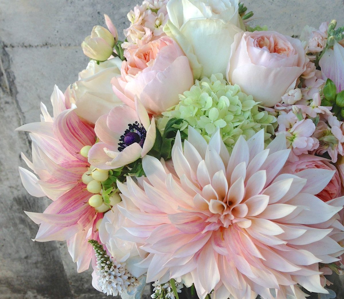 Хризантема георгины пионы