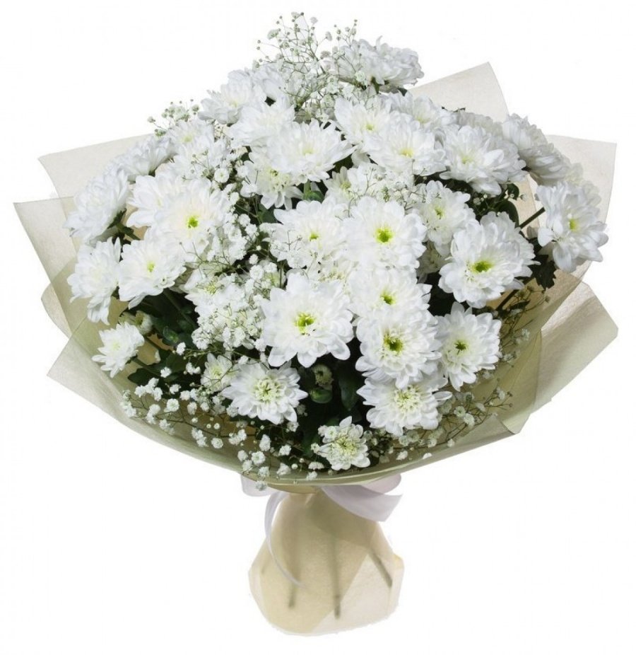 Хризантемы кустовые белые букет