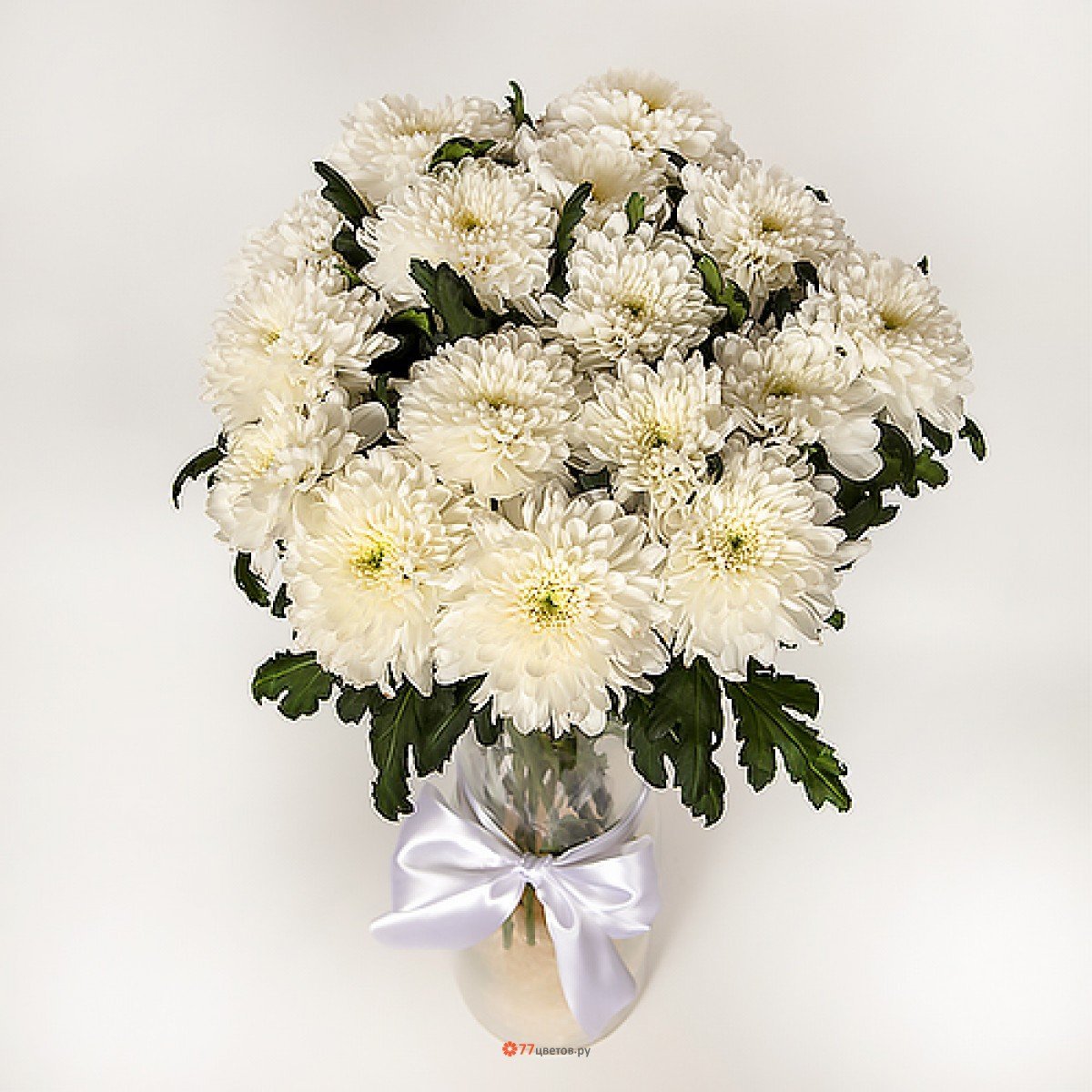 Хризантема кустовая Ромашковая