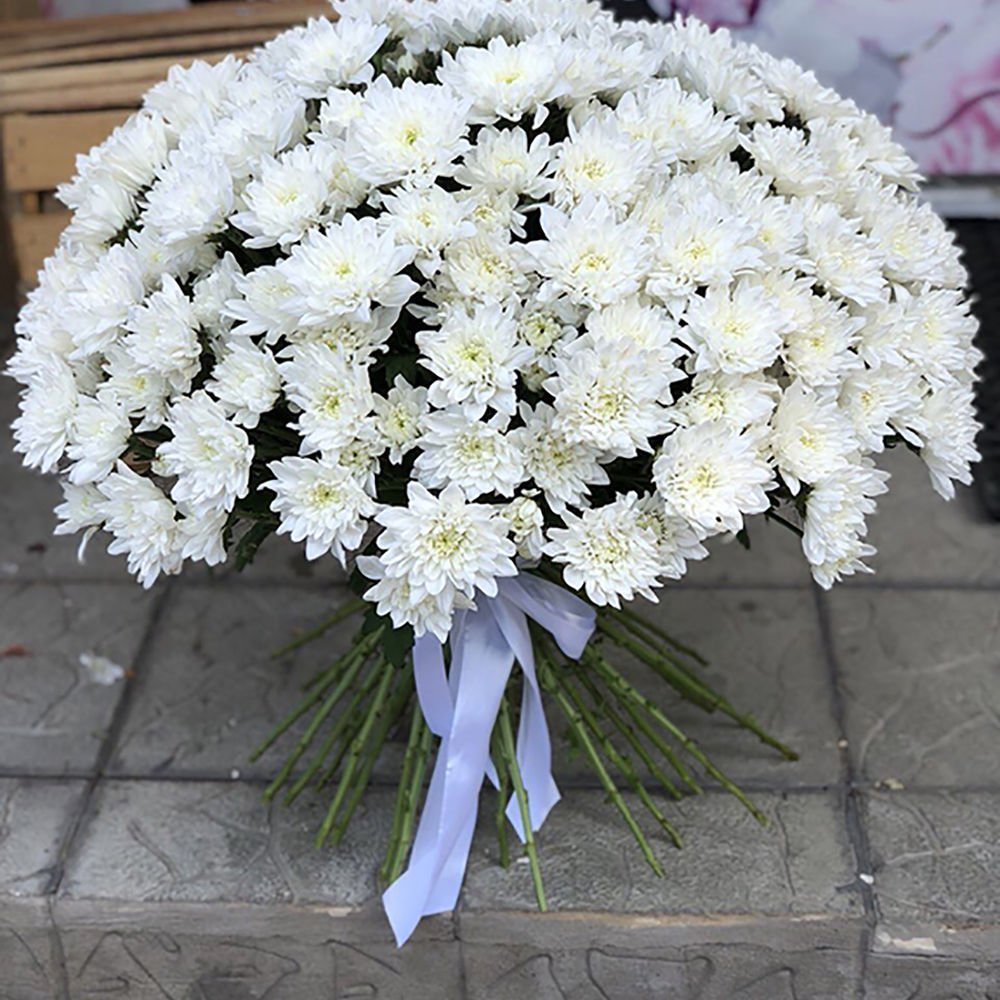 Хризантема кустовая белая 9 шт