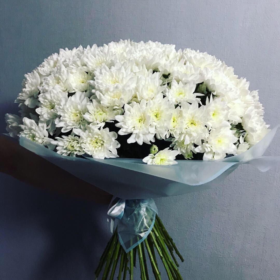 Хризантема кустовая белая