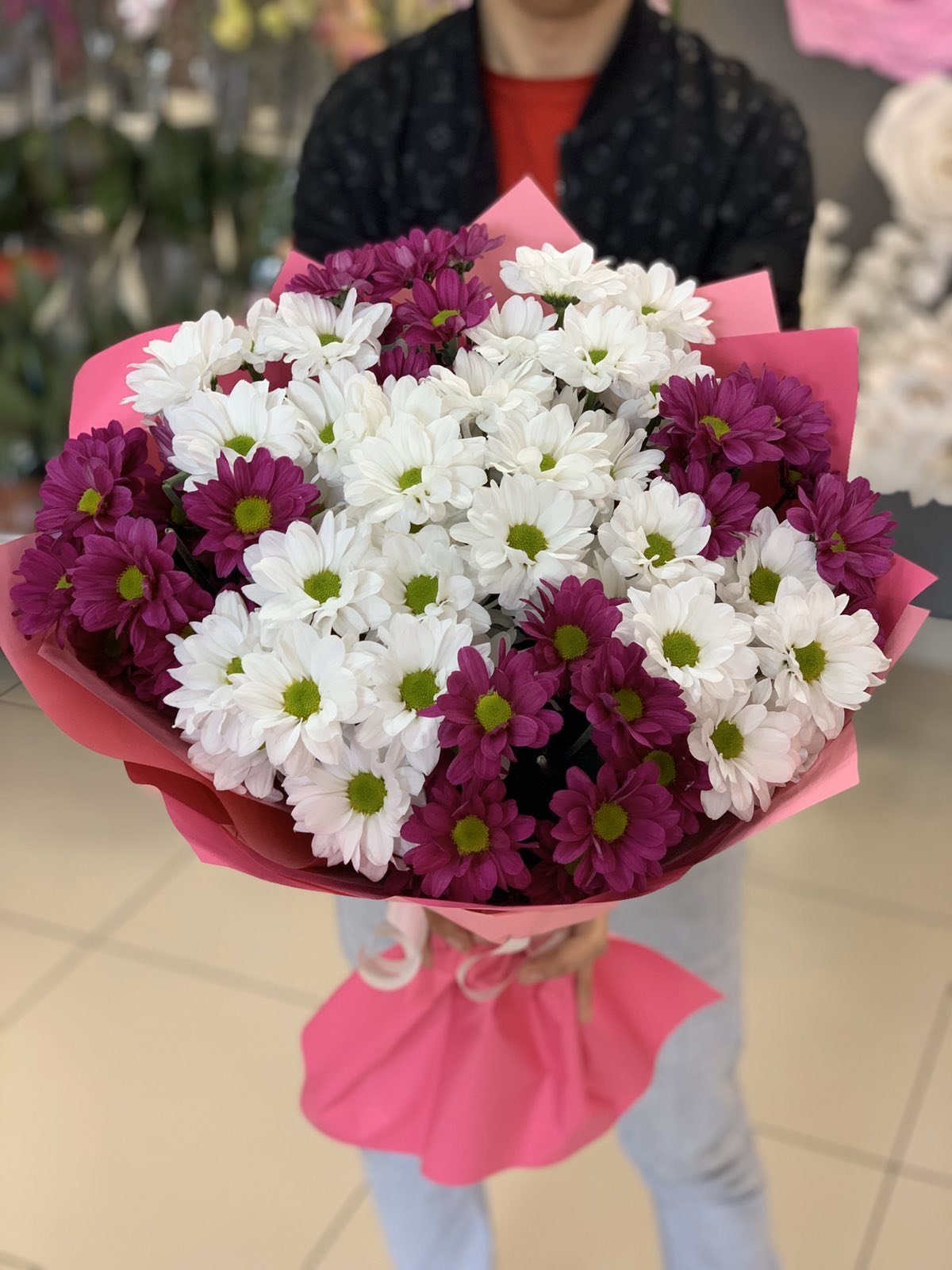 Хризантема Балтика Салмон