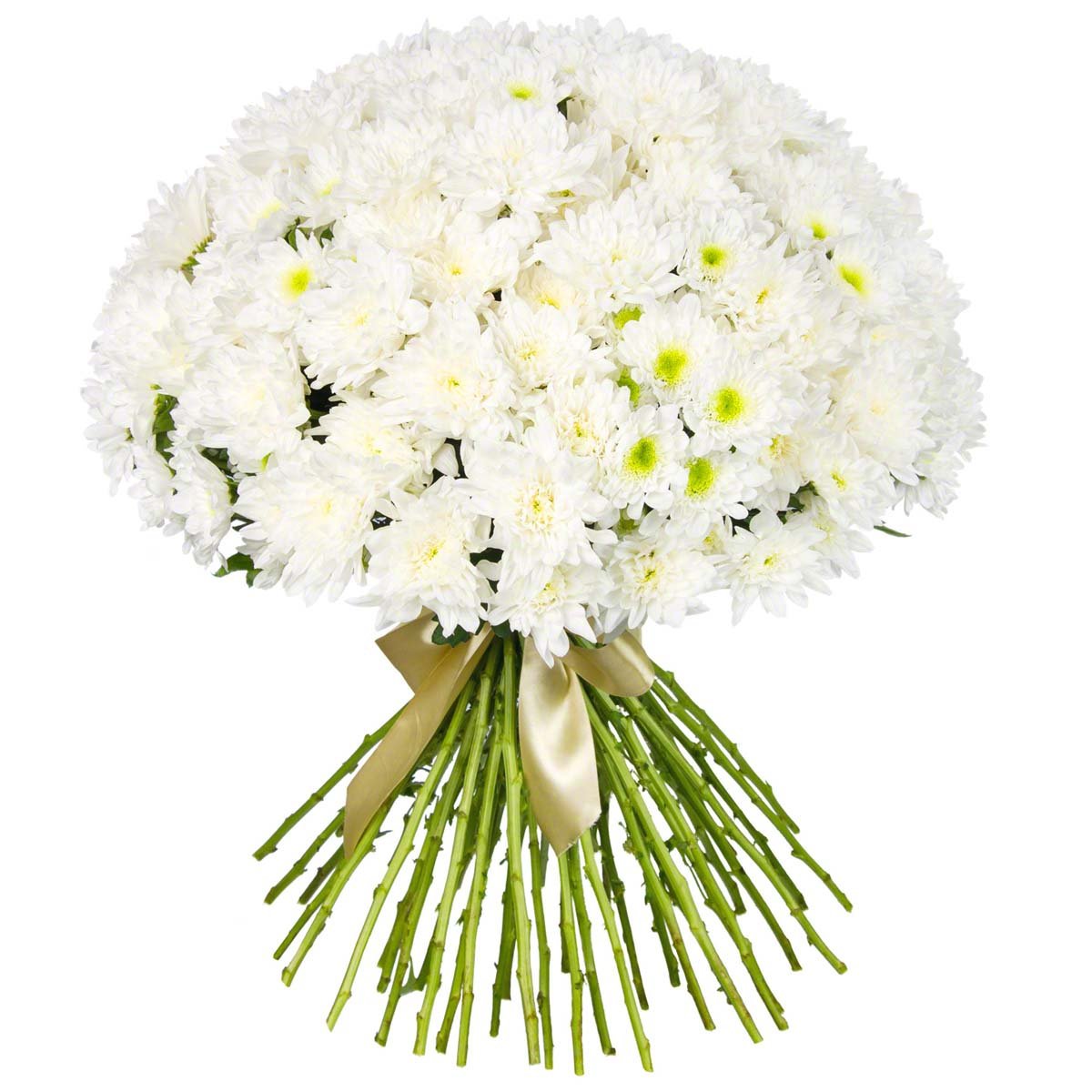 Букет хризантем и гипсофилы