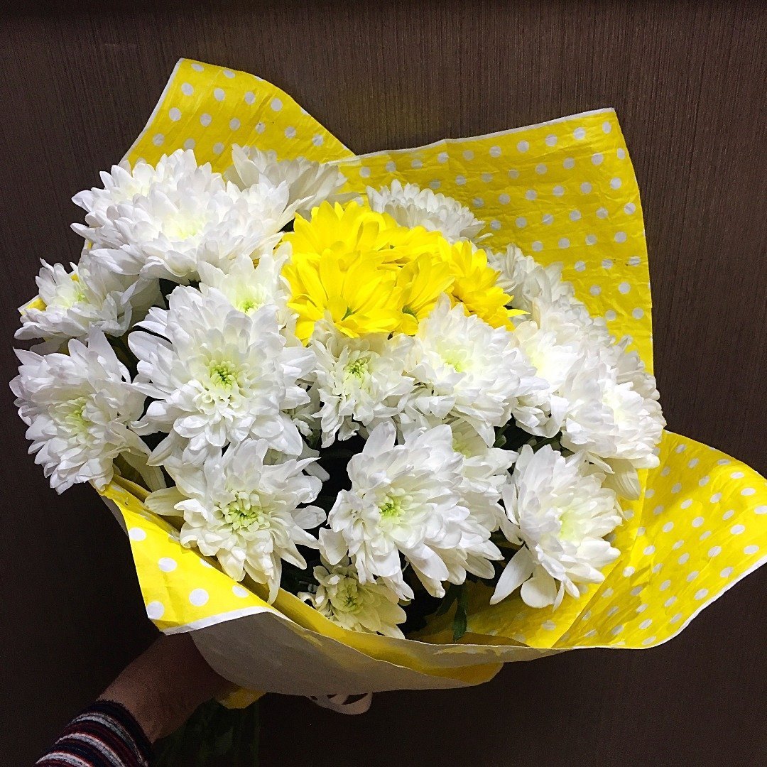 Хризантема кустовая белая