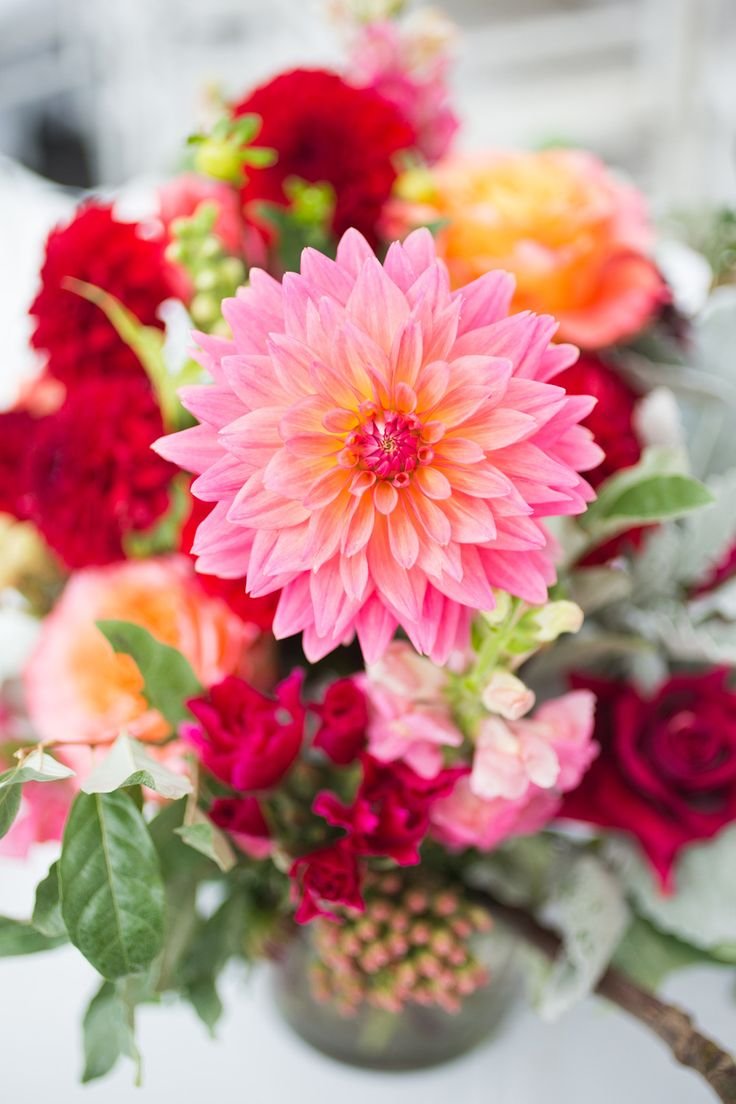 Георгины букет