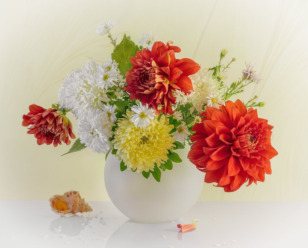 Фотонатюрморты Светланы Лебедевой