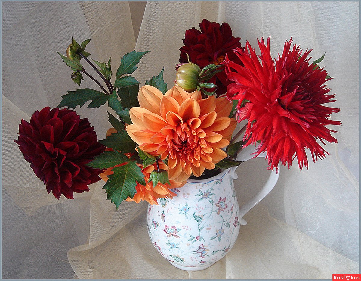 Осенний букет астры георгины