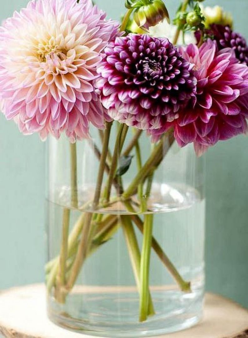 Георгины Эвелин букет