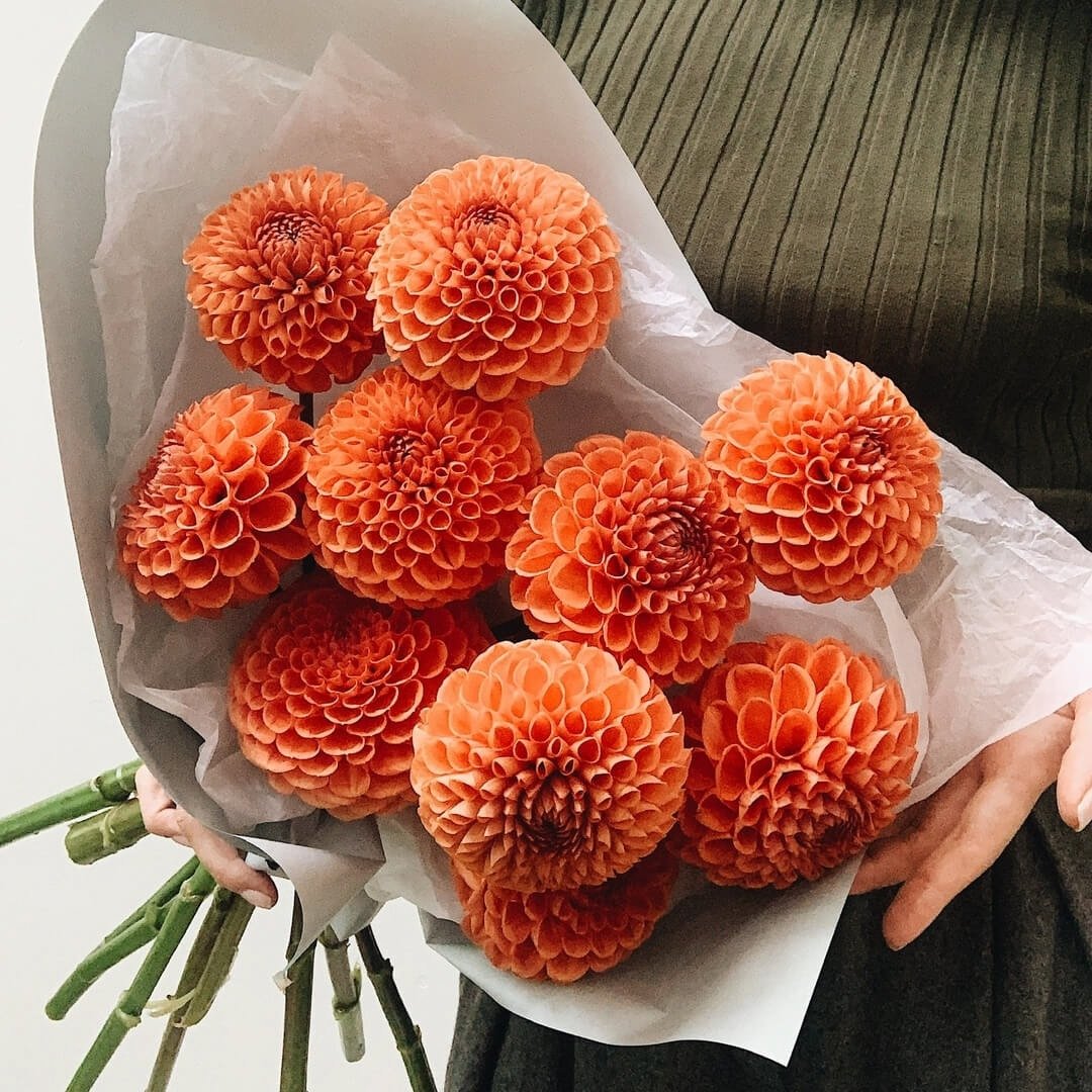 Оранжевая георгина букет