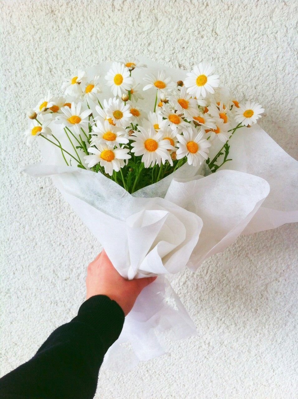 Букет ромашек с днем рождения