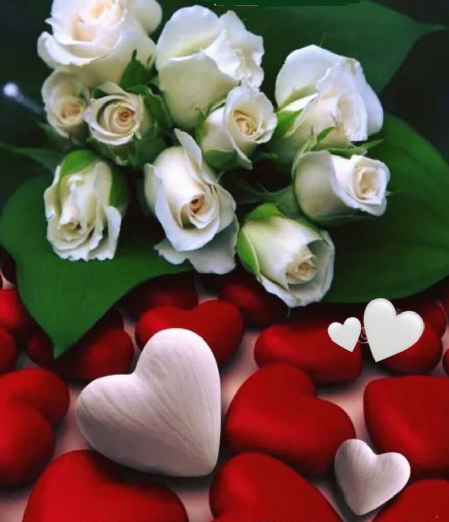 Самой любимой