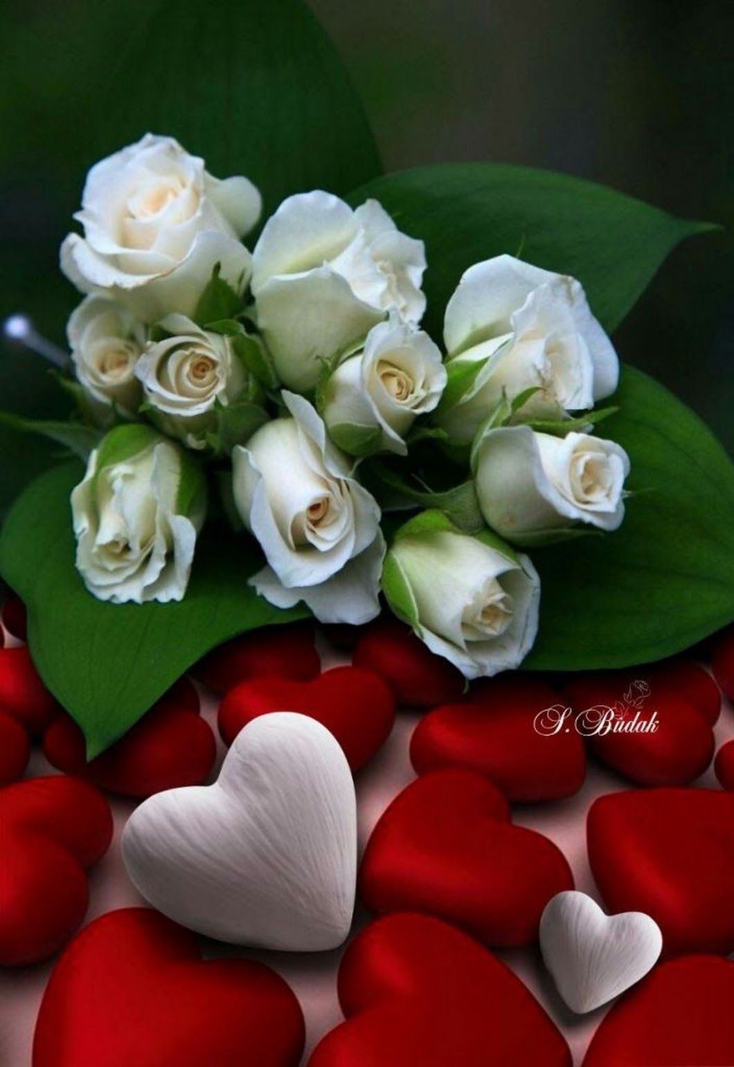 Романтические цветы