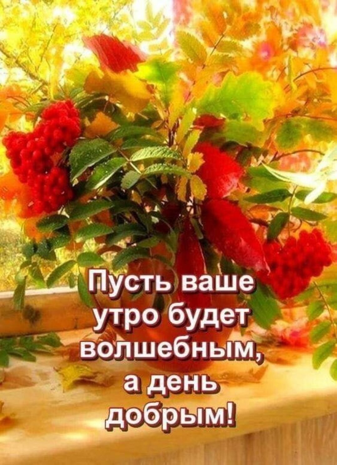 С добрым осенним утром четверга