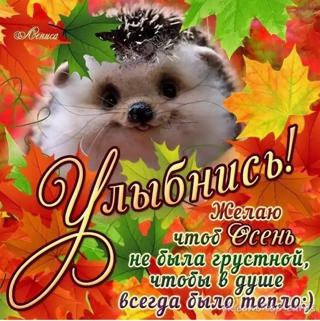 Добрый день