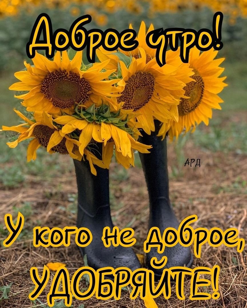 С добрым осенним дождливым утром