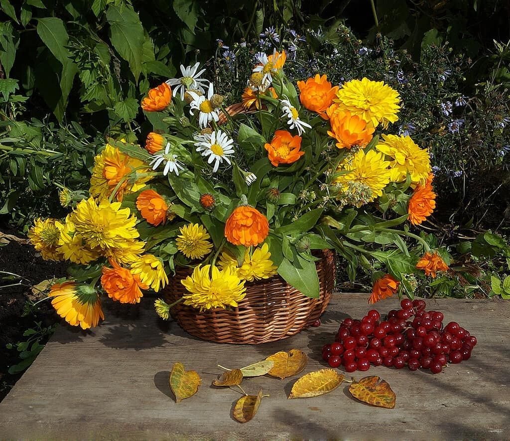 С добрым утром осенним с пожеланиями