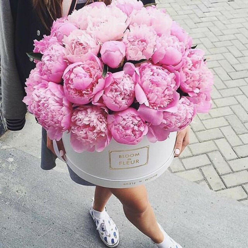 Свежий пионы в руках